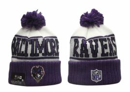 Picture for category Nfl Beanies